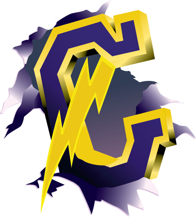 Champion Flashes